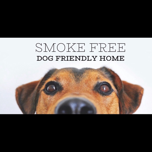 Rare Adidas Originals Floral Trefoil Sweatshirt - Picture 10 of 11